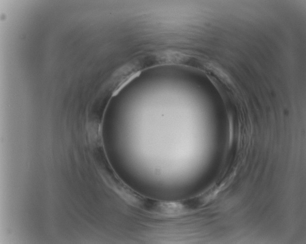 X0000063520429200601271840