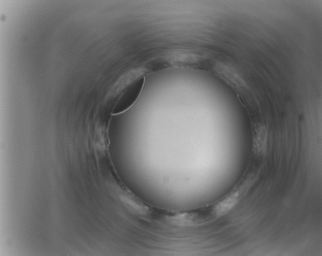 X0000063520430200601271840