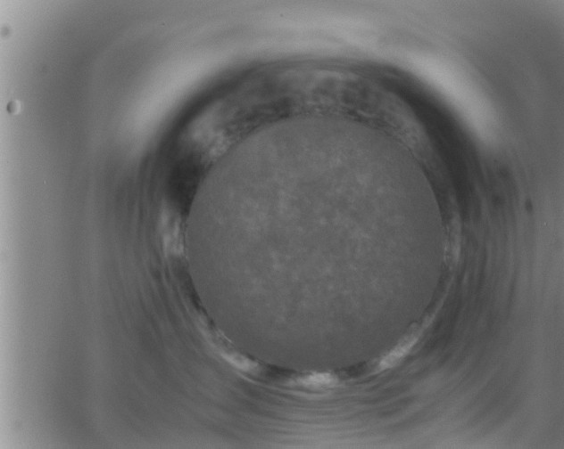 X0000063520431200601271840