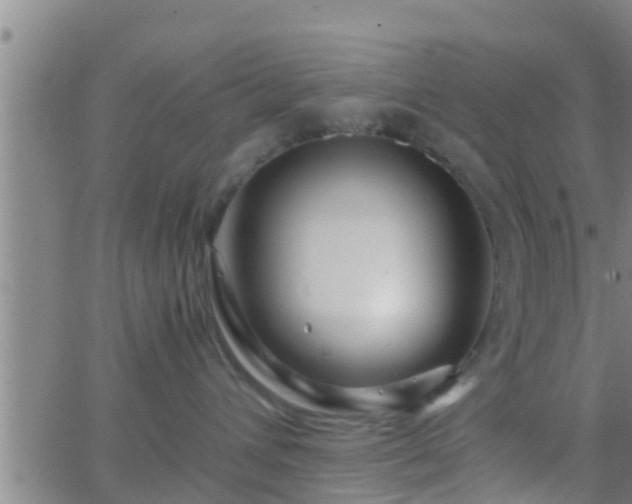 X0000063520432200601271840