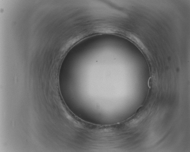 X0000063520433200601271840