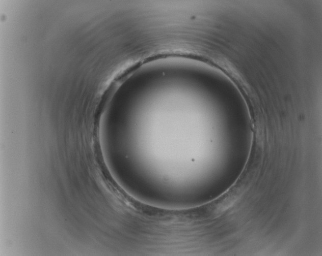 X0000063520434200601271840