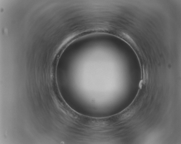 X0000063520435200601271840