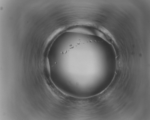 X0000063520436200601271840