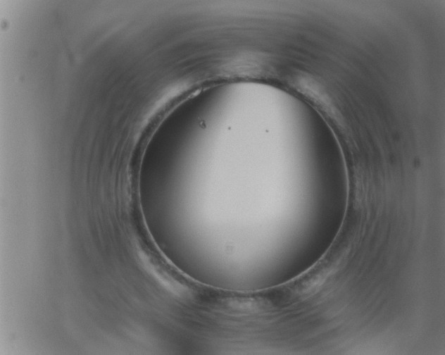 X0000063520439200601271840