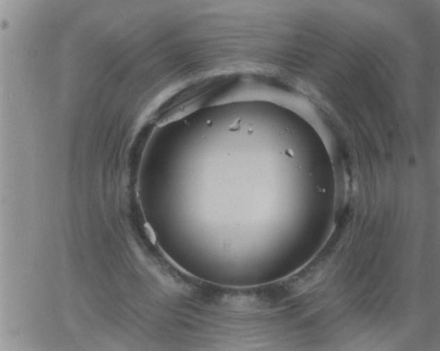 X0000063520440200601271840