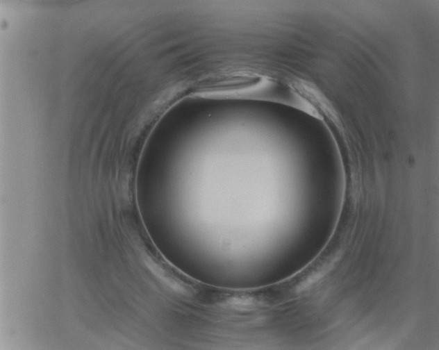 X0000063520441200601271840