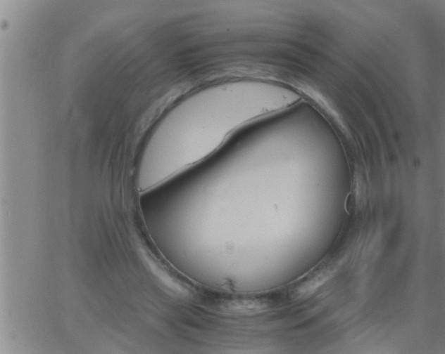 X0000063520445200601271840