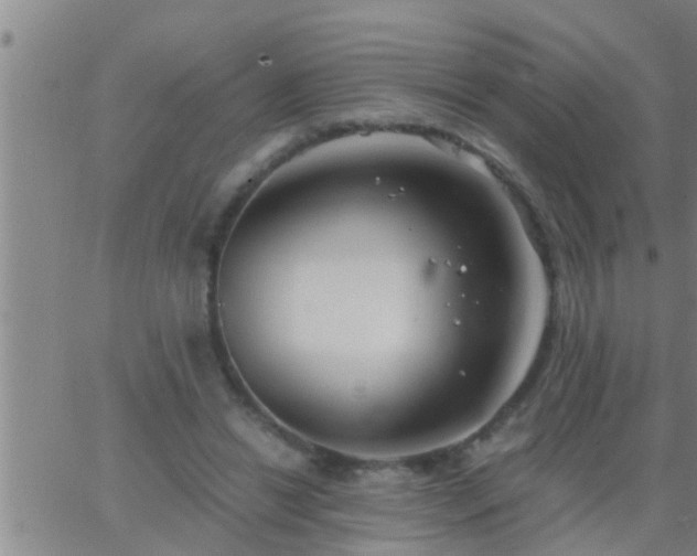 X0000063520446200601271840