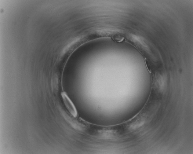 X0000063520448200601271840