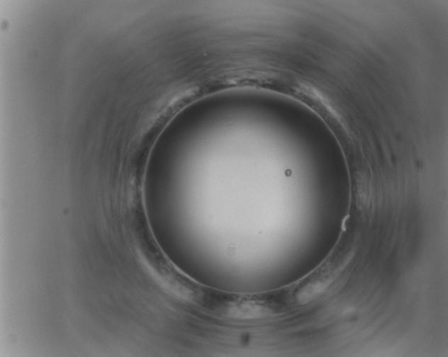 X0000063520451200601271840