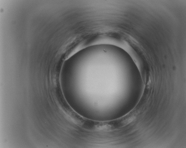 X0000063520452200601271840