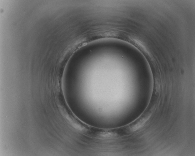 X0000063520453200601271840