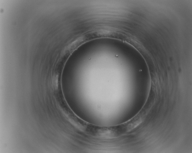 X0000063520454200601271840