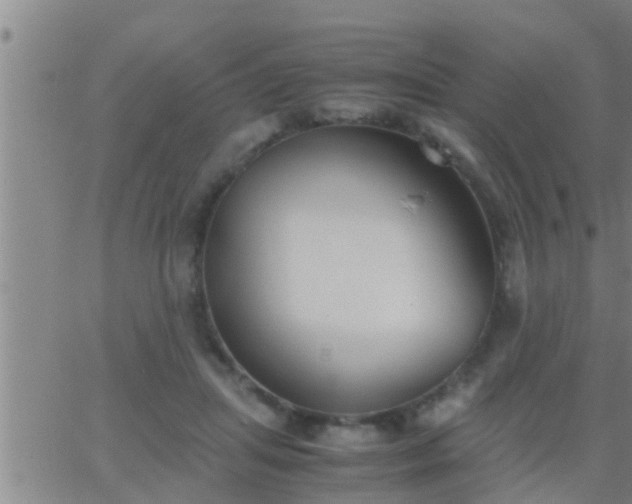 X0000063520455200601271840