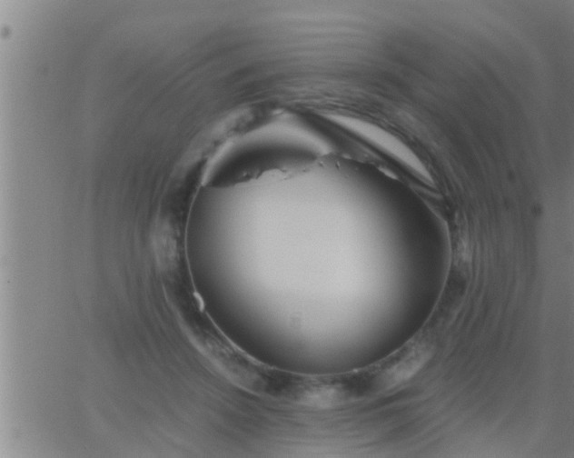 X0000063520456200601271840