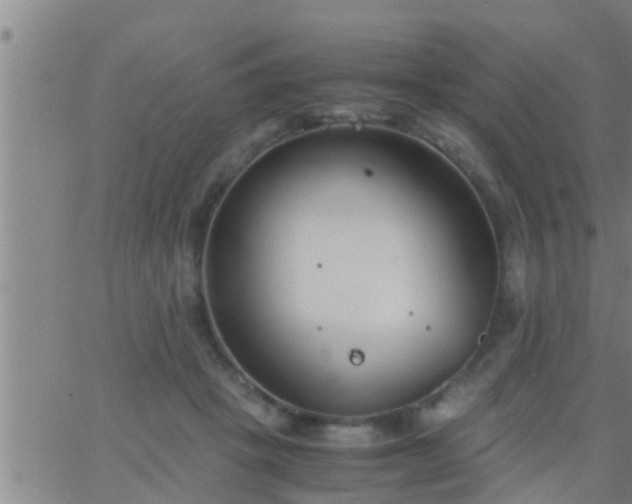 X0000063520457200601271840