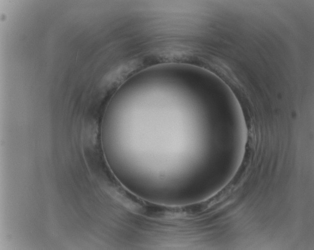 X0000063520458200601271840