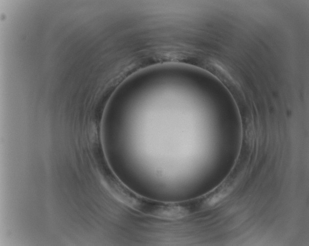 X0000063520459200601271840