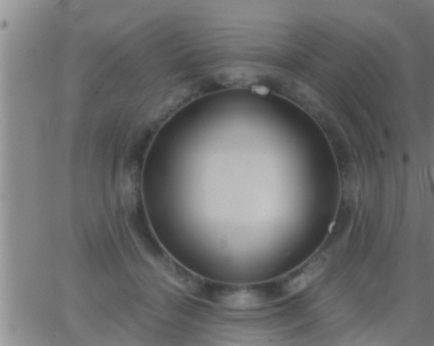 X0000063520460200601271840