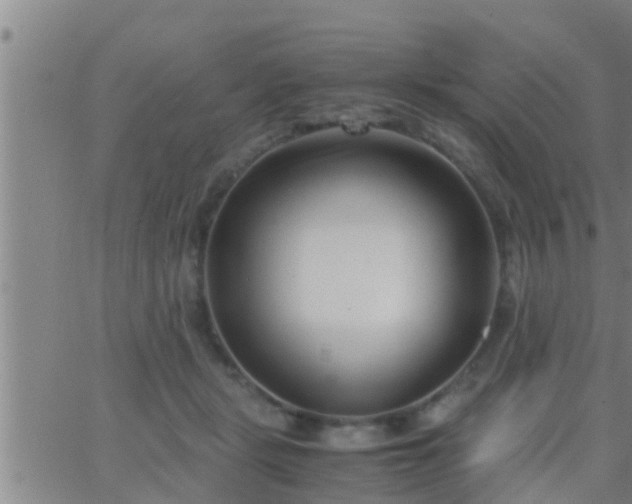 X0000063520461200601271840