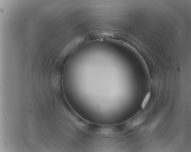 X0000063520462200601271840