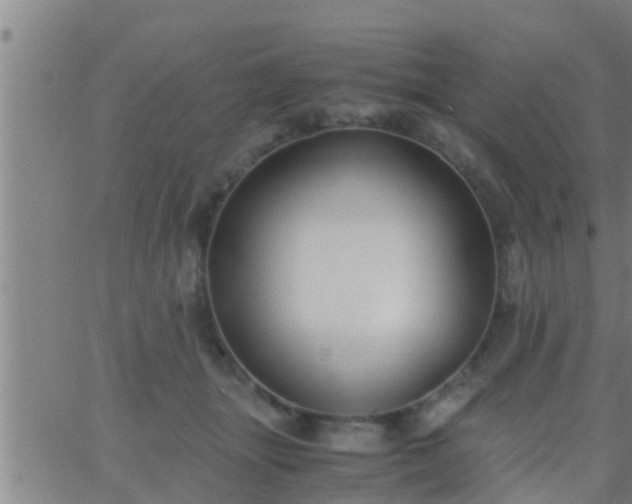 X0000063520463200601271840