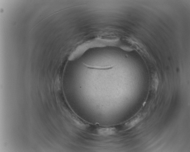 X0000063520465200601271840