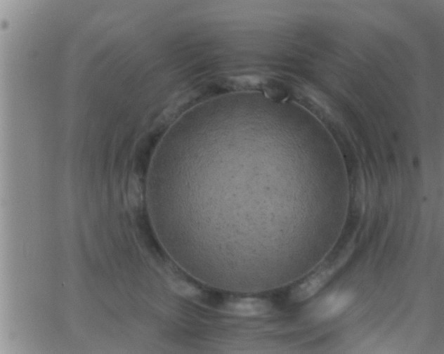 X0000063520467200601271840