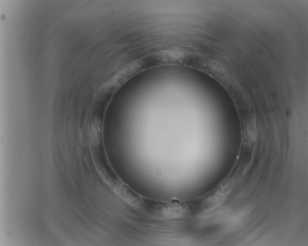 X0000063520468200601271840