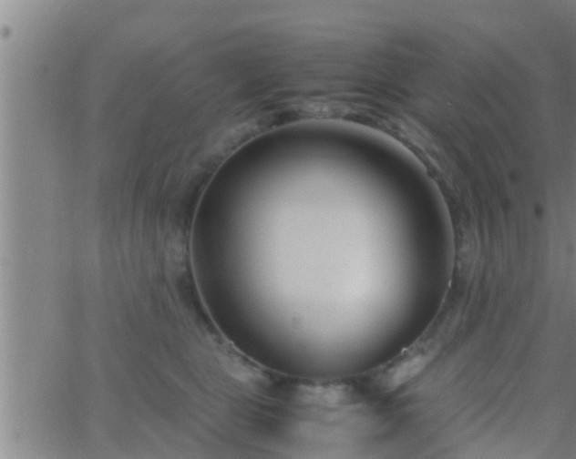 X0000063520469200601271840