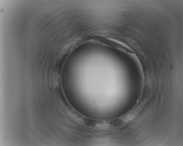 X0000063520470200601271840