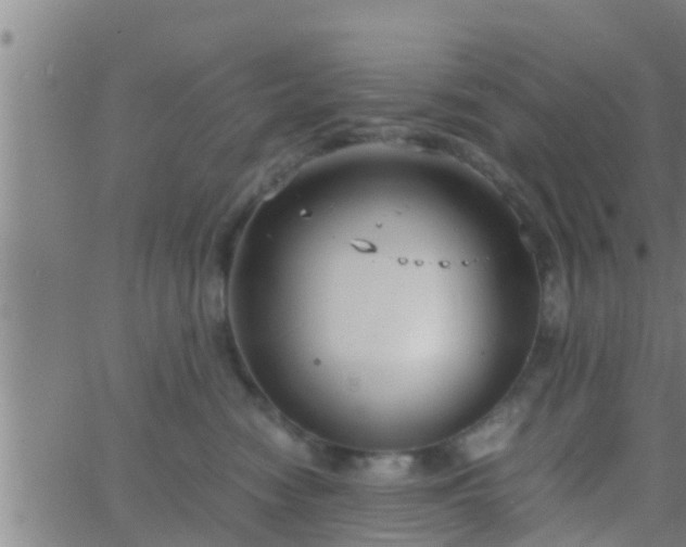 X0000063520474200601271840