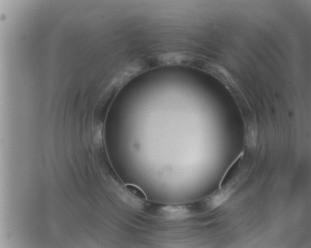 X0000063520477200601271840