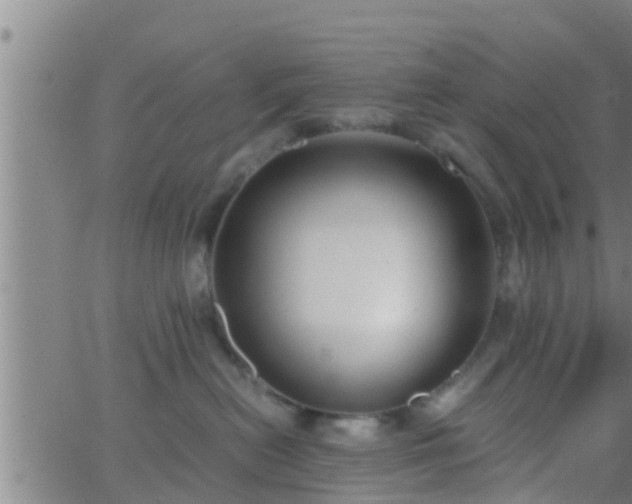 X0000063520478200601271840