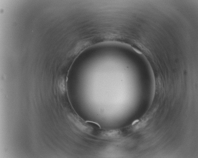 X0000063520479200601271840