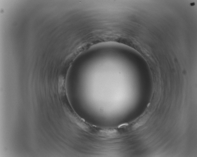 X0000063520480200601271840