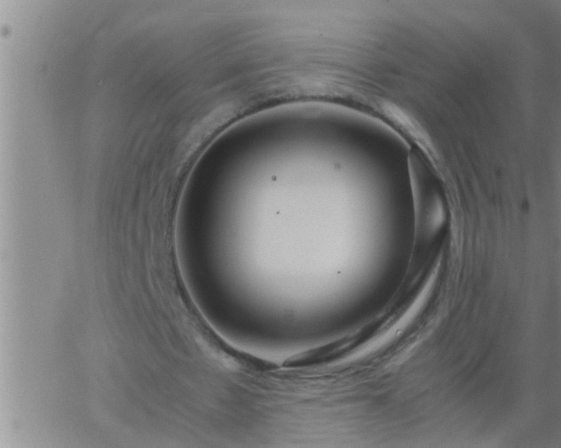 X0000063520481200601271840