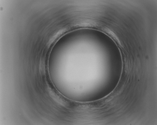 X0000063520482200601271840