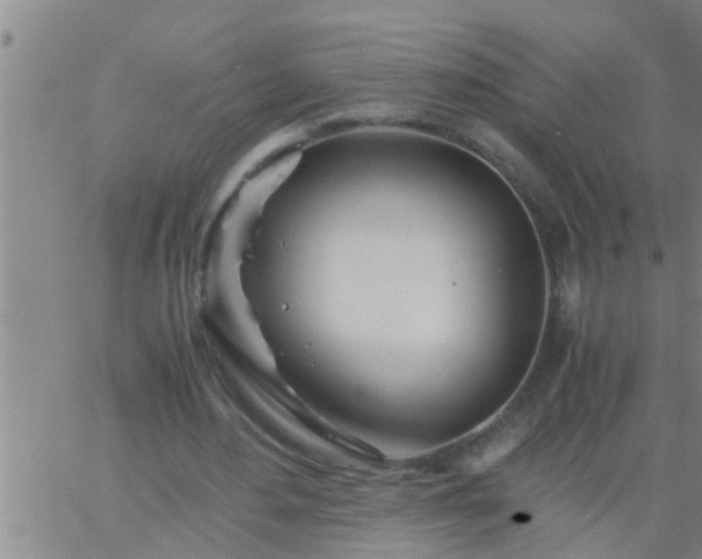 X0000063520484200601271840