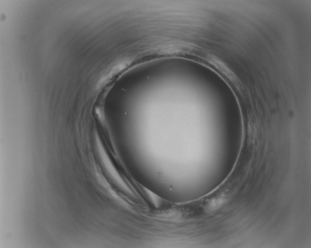 X0000063520485200601271839