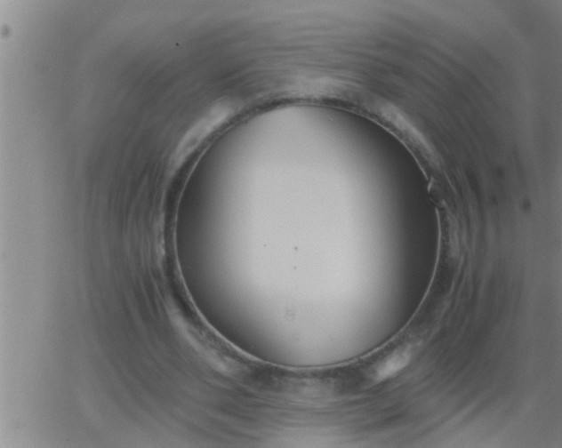 X0000063520486200601271839