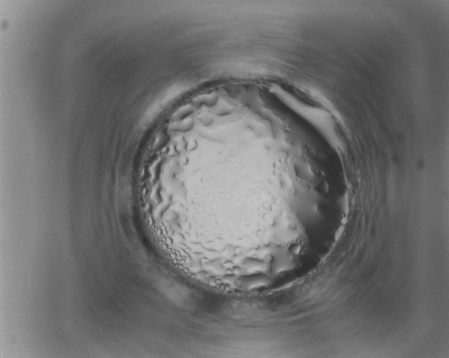 X0000063520487200601271839