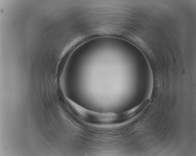 X0000063520488200601271839