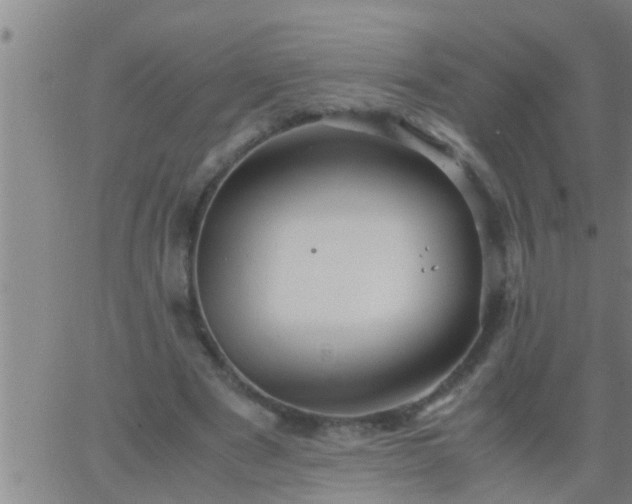 X0000063520489200601271839