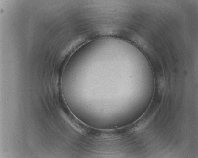 X0000063520490200601271839