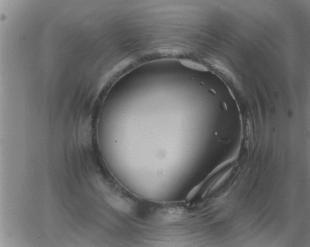 X0000063520492200601271839