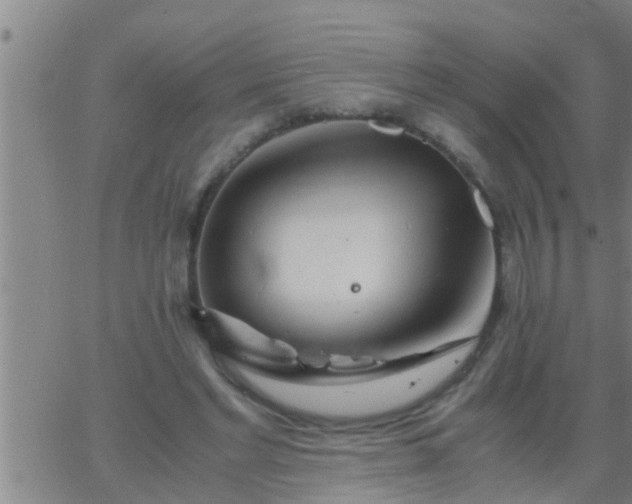 X0000063520493200601271839