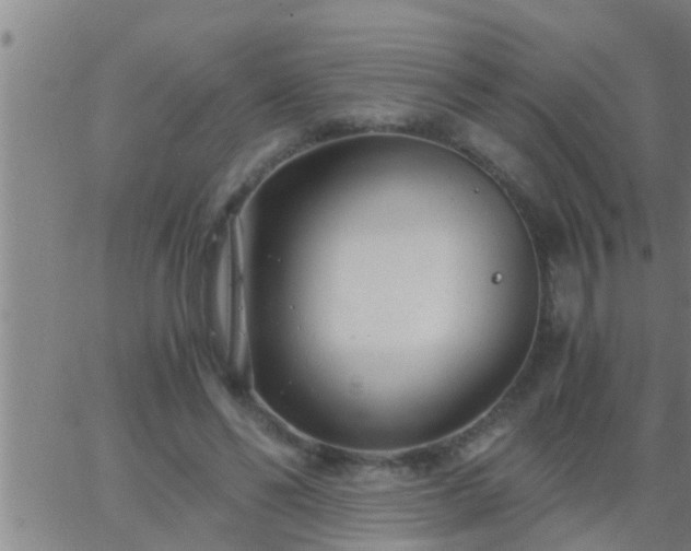 X0000063520494200601271839