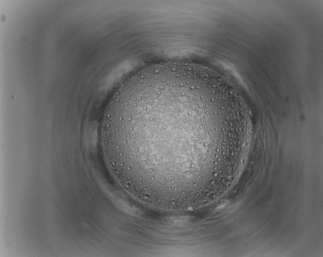 X0000063520495200601271839